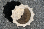 Holy Water Stoup — Limestone