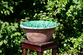 Monastic Bowl 1 — Earthenware, Lucca